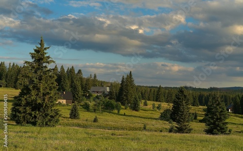 Foto beautiful view in the Sumava mountains in the Czech Republic