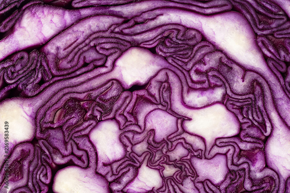 Obraz premium Background of the blue cabbage in the cut, macro photography. Texture raw purple cabbage, top view.