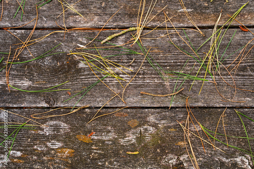 фотографія Dry green pine needles strewn over weathered grey wooden planks