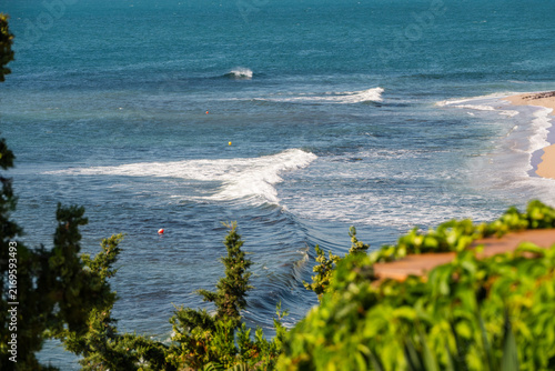 A scenic elevated view looking past blurred green foreground foliage at rolling blue ocean waves breaking into white foam along a sandy shoreline.