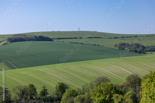 A green spring farm landscape, on a sunny April day