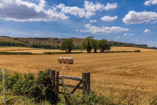 A summer harvest landscape, in rural Sussex