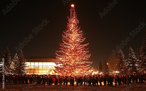 Illuminated Christmas tree at night with crowd.
