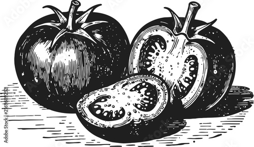 Vintage engraved tomato illustration whole and sliced vegetable detailed black and white drawing