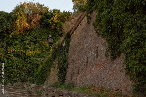 Vintage street lamp mounted on ivy-covered brick Petrovaradin Fortress wall beside stone stairs. Novi Sad, Serbia