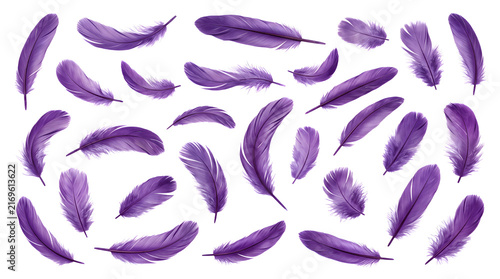 Purple Bird Feathers Collection Isolated on Transparent Background PNG