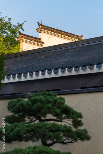 Ancient water towns in the Jiangnan region feature upturned eaves, white walls, and black tiles.