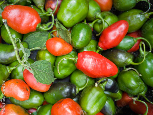 Bild auf Leinwand A diverse and vibrant mix of fresh, multi-colored chili habanero peppers (red, g