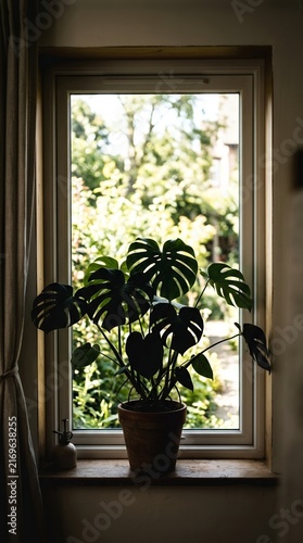 Monstera plant in pot on windowsill with view of green trees outside.