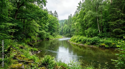 Serene Forest River Flowing Through Lush Green Trees and Vegetation.