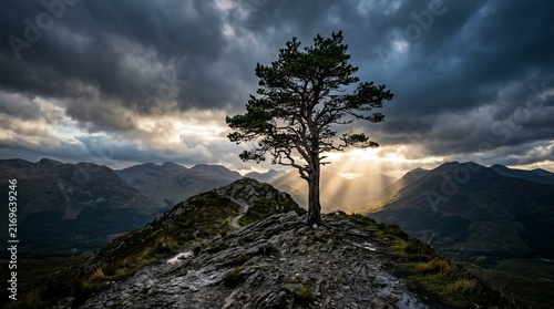 Solitary Tree on Mountain Peak Under Dramatic Stormy Sky.
