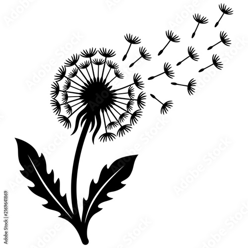 a graphic illustration of a dandelion with its seeds blowing away in the wind symbolizing freedom and the coming of spring.