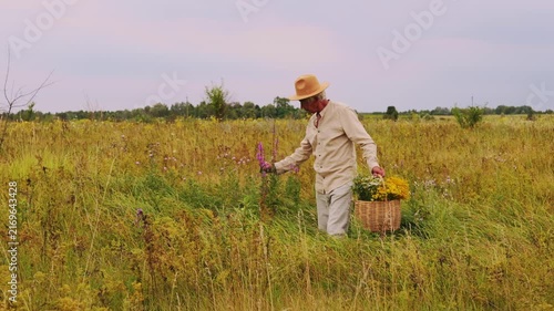 A person walks through a field holding a basket filled with various herbs. The sun is setting, and the landscape shows a mix of plants and flowers