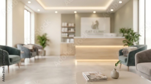 Waiting area of a veterinary cat clinic featuring a reception desk and comfortable seating. The blurred background creates a professional atmosphere for pet owners in a clean facility.