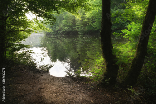 morgens am See