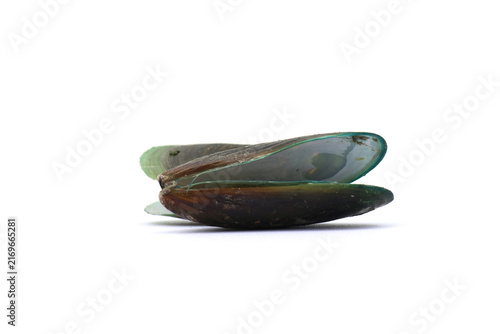 Cuadro en lienzo green lipped mussels