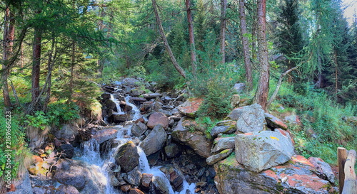 Cuadro en lienzo stream of water in the forest