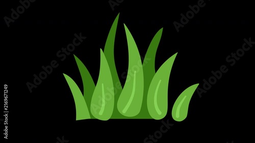 illustration of green grass foliage