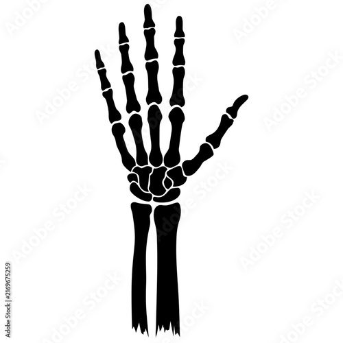 Skeleton Hand Vector Silhouette with Open Palm During Halloween Season