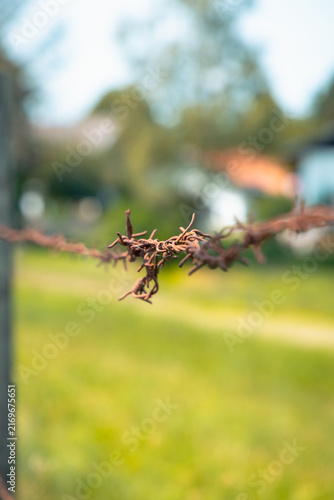 Stacheldrahtzaun