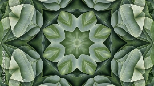 Symmetrical Kaleidoscope of Green Leaves and Petals Abstract Nature Pattern