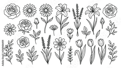 Hand-Drawn Floral Elements: Roses, Lilies, Tulips, Daisies, Lavender - Line Art