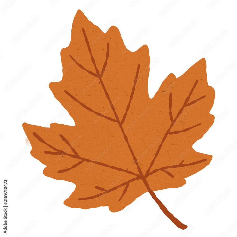 Fototapeta premium Watercolor maple leaf clipart autumn illustration