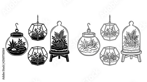 Line art terrariums with plants and geometric shapes on white background