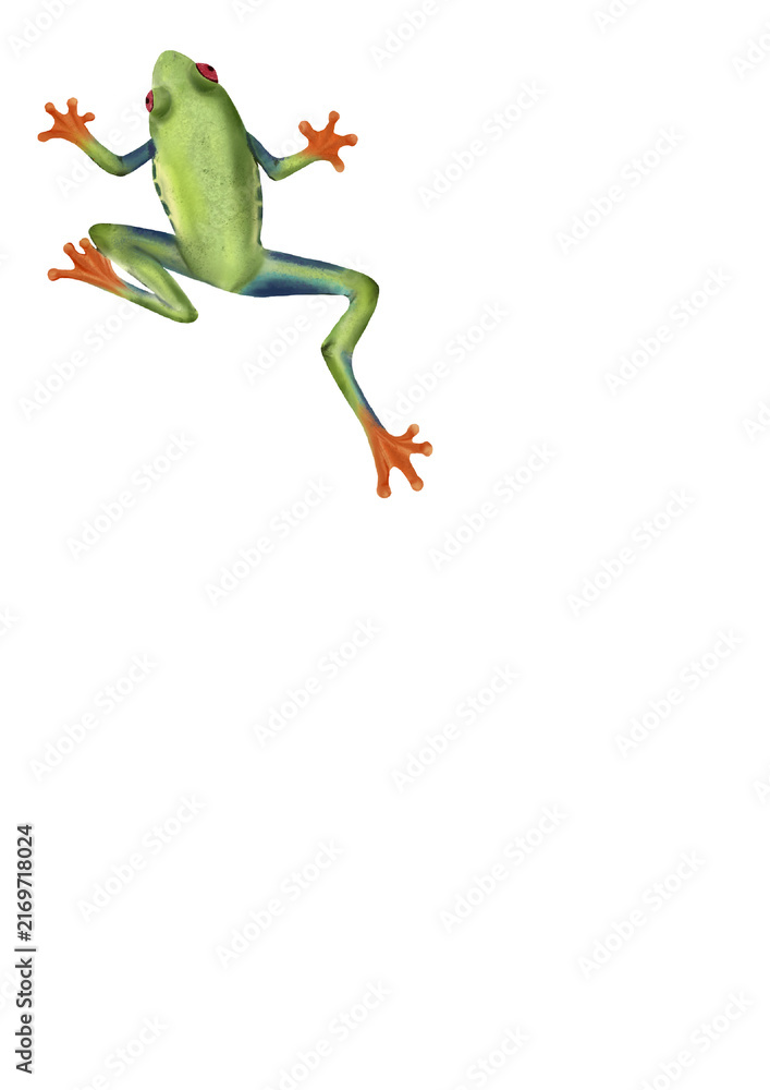 Fototapeta premium Green frog watercolor illustration isolated botanical nature element