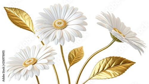 White daisies and golden leaves isolated on white background
