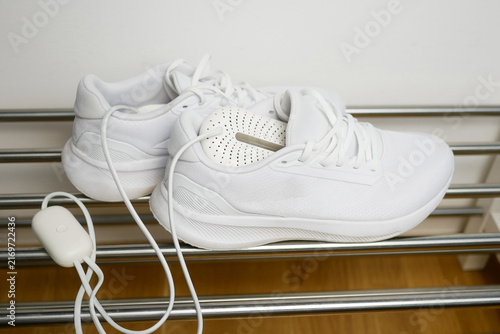 Картината върху платно Electric shoes dryer