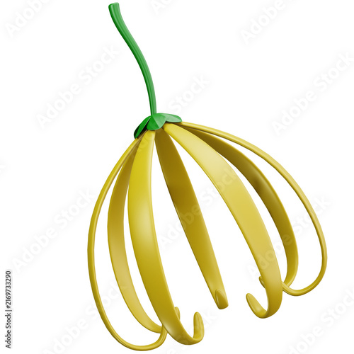 Yellow Ylang Ylang Flower 3D Illustrations