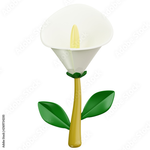 White Calla Lily 3D Illustrations