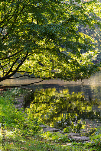 Landschaftsaufnahme - Decksteiner Weiher Köln