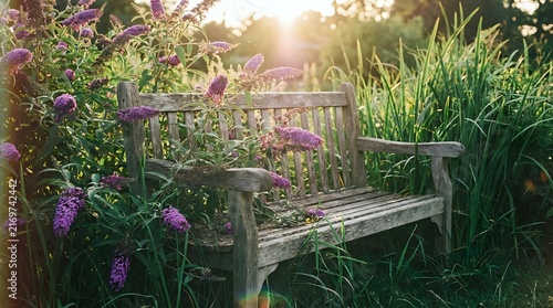 Wooden garden bench surrounded by blooming purple flowers and lush