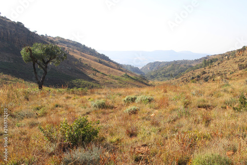 Fernkloof located in the Magaliesberg mountains, North West Provence  of SA 