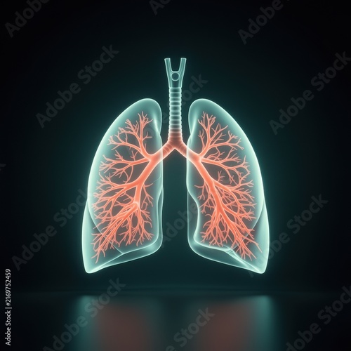 Glowing Human Lungs and Respiratory System Illustration