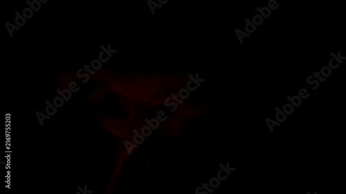 Powerful Burning Fire Flames with Rising Smoke and Glowing Embers