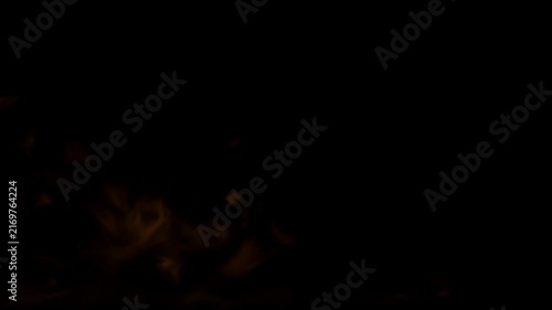 Powerful Burning Fire Flames with Rising Smoke and Glowing Embers