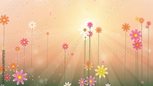 Animated spring meadow with colorful flowers and soft golden sunlight rays motion background