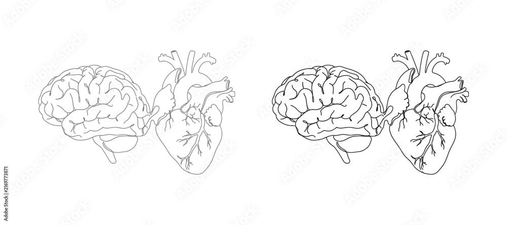 Obraz premium Human brain and heart line art illustration