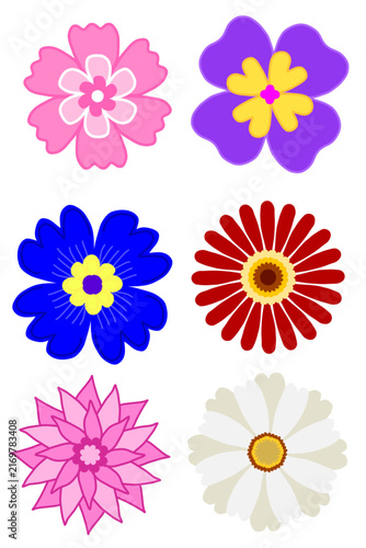 Set of Flat Floral Icons and Blossom Vector Illustrations