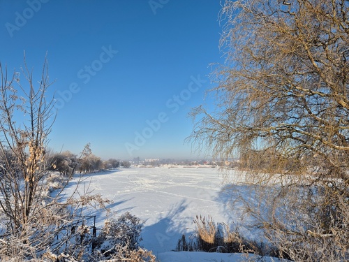 Картината върху платно Frosted willow tree branches framing a wide frozen lake in winter