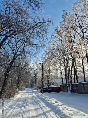 Canvastavla Snow covered village lane with tire tracks and frosted trees