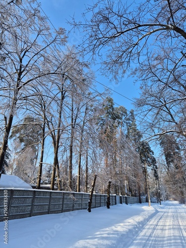 Konstfotografi Sunlit snowy road alongside a tall fence and frosted trees