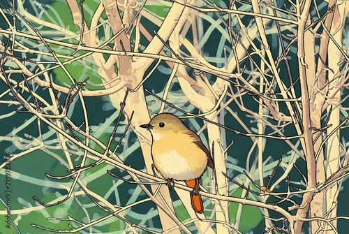 Fototapeta 冬のジョウビタキ、生成AI