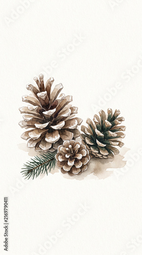 Watercolor painting of pinecones and fir tree branch, winter composition, natural botanical illustration on white background