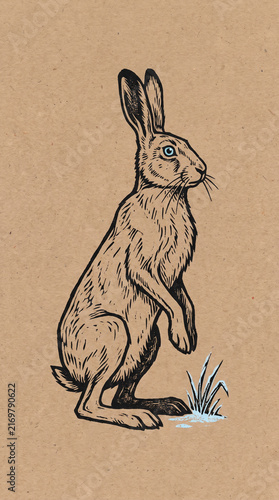 Hand-drawn illustration of a wild hare standing on its hind legs with blue eyes on a vintage craft paper background