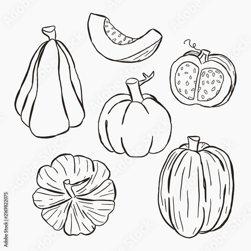 Pumpkin set line art featuring whole pumpkins, pumpkin slices and autumn harvest elements for seasonal packaging, stickers, worksheets and fall illustrations.
