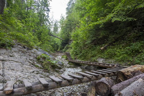 Obraz na płótnie Abenteuerlicher Holzsteig durch eine wilde Felsenschlucht
